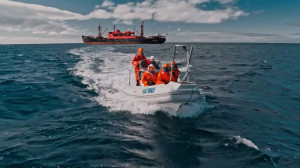 Морские единороги: арктическая экспедиция в поисках редкого кита