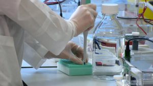 Как собрать пазл из миллиарда кусочков: технологии петербургских учёных помогли биологам открыть 120 тысяч новых вирусов