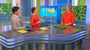 Как выбрать и хранить свежую зелень весной