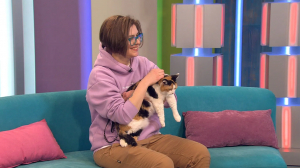 Всем по котику! Не бойтесь брать животных из приюта, просто соблюдайте правила