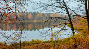«Лесные дали»: новая экотропа в государственном природном заказнике «Шалово-Перечецкий» под Лугой