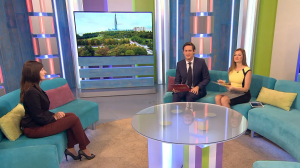 Психологическая поддержка в школах