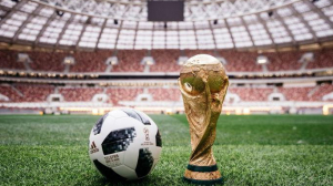 Дневник чемпионата мира по футболу
