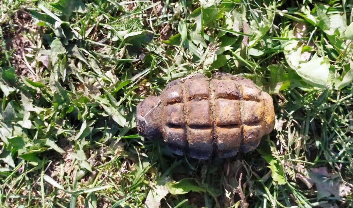 В Пулковском парке нашли гранату времен войны - tvspb.ru