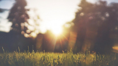 В Ленобласти благоустроят парк за 100 млн рублей в честь 75-летия Победы