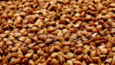 Минсельхоз предложил временно ограничить экспорт гречихи и гречневой крупы