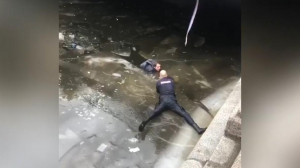 Мужчину спасли из воды у храма Спаса на Крови