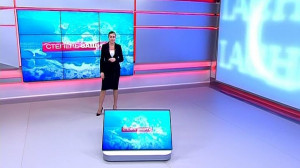 Степень защиты. 29 января