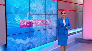 Степень защиты. 1 ноября