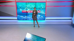 Степень защиты, 29 ноября