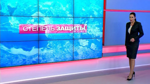 Степень защиты, 6 декабря