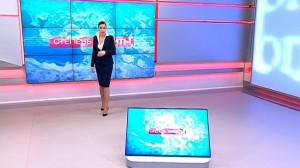 Степень защиты. 20 декабря