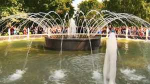 Губернаторский контроль. Фонтаны