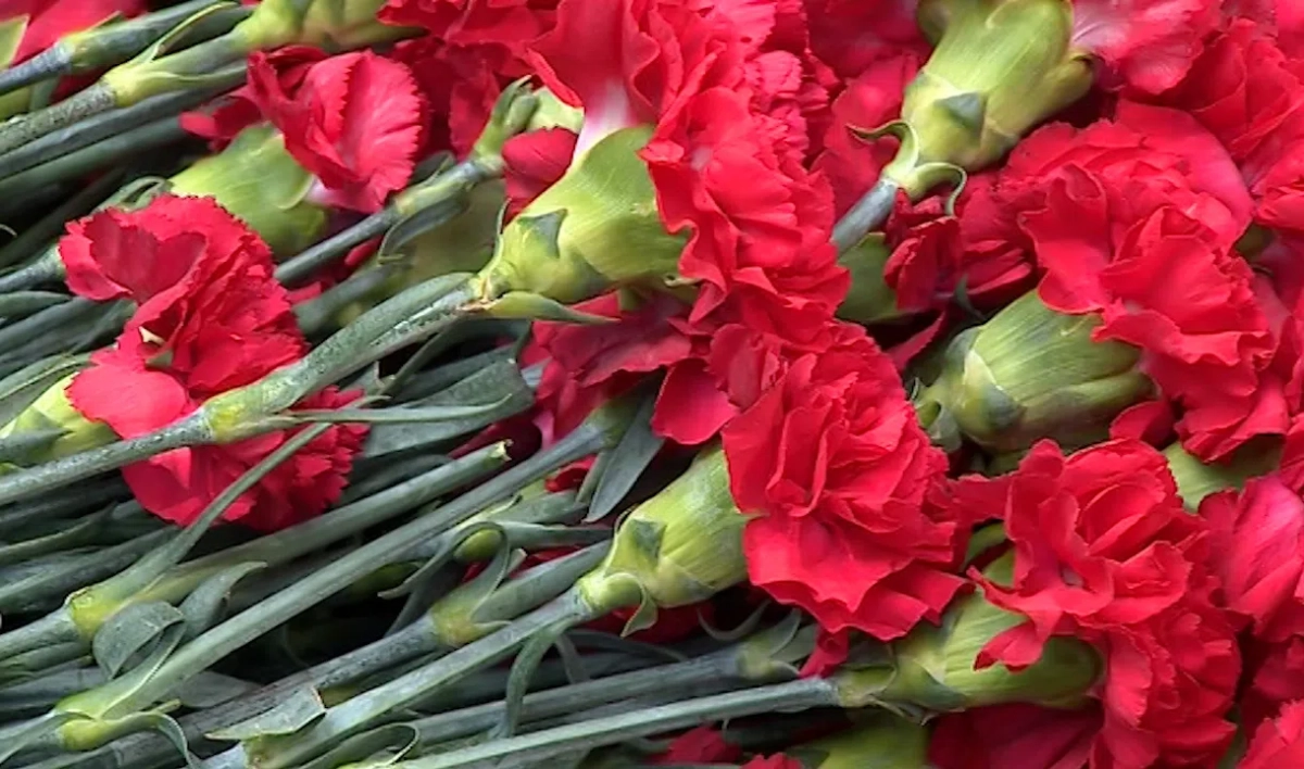 Стихийный мемориал, свечи и цветы: В центре Петербурга почтили память жертв теракта в Беслане - tvspb.ru