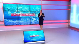 Степень защиты. 28 января