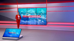 Степень защиты. 20 февраля