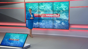 Степень защиты. 27 февраля