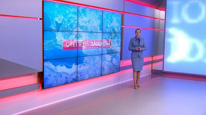 Степень защиты. 10 апреля