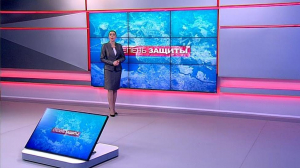 Степень защиты. 11 апреля