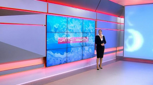 Степень защиты. 25 апреля