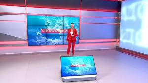 Степень защиты. 21 мая