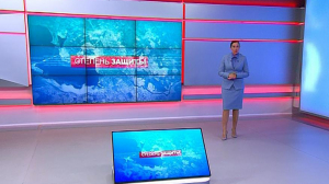 Степень защиты. 22 мая