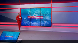 Степень защиты. 11 сентября