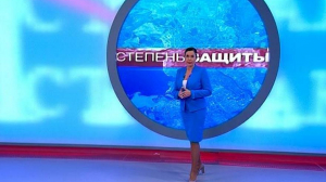 Степень защиты. 8 октября