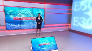 Степень защиты. 17 октября