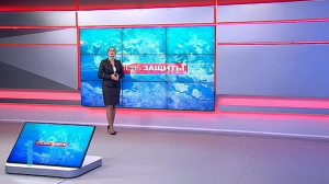 Степень защиты. 22 октября