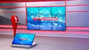 Степень защиты. 31 октября