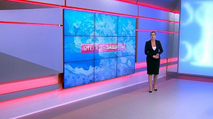 Степень защиты. 14 ноября