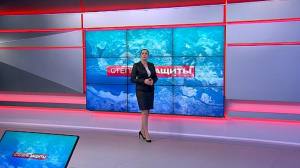 Степень защиты. 26 ноября