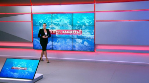 Степень защиты. 3 декабря