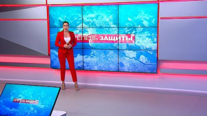 Степень защиты. 10 декабря