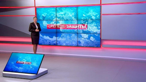 Степень защиты. 19 декабря