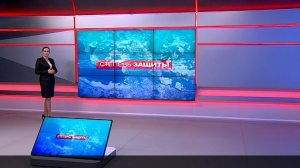 Степень защиты. 13 февраля