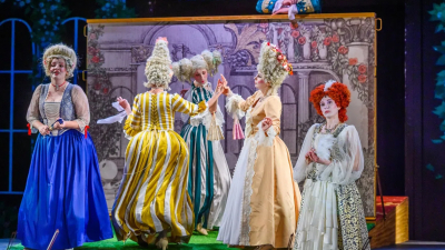 Новый сезон Филармония для детей и молодежи в Петербурге начнет с оперы «Свинопас»