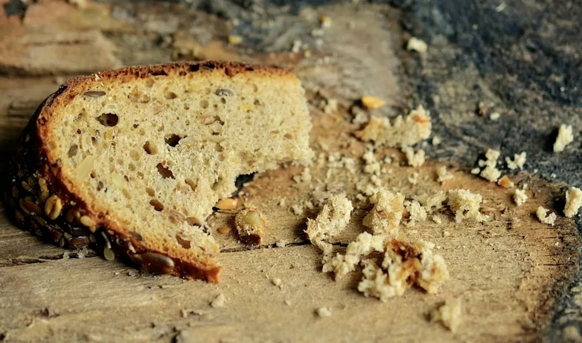 Эксперт предрек человечеству массовый голод к 2050 году - tvspb.ru