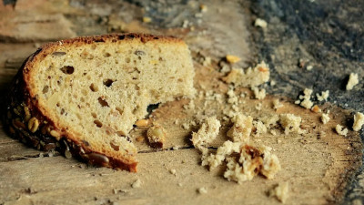 Эксперт предрек человечеству массовый голод к 2050 году