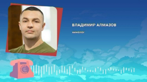 Как привить собакам «хорошие манеры»