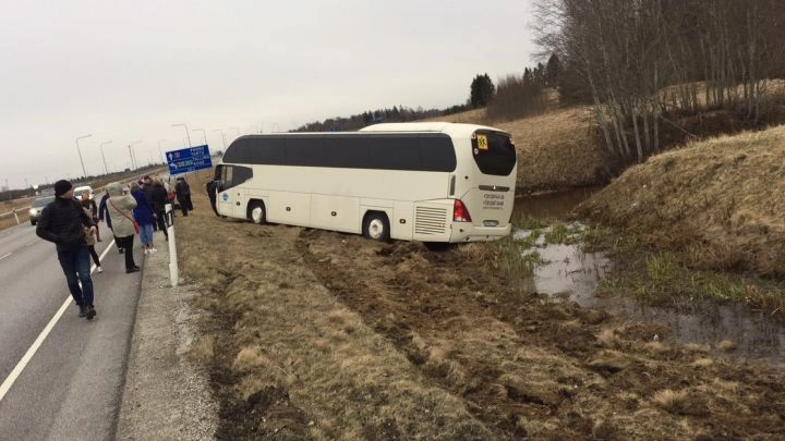 Автобус с туристами из Петербурга съехал с трассы - tvspb.ru