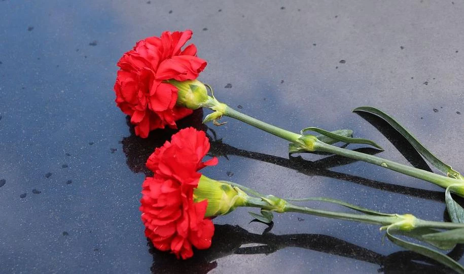 Хоронить умерших с диагнозом COVID-19 будут на двух петербургских кладбищах - tvspb.ru