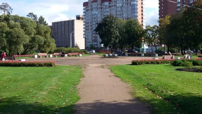 Очевидцы рассказали о гулявшем по парку Сосновка кабане - tvspb.ru