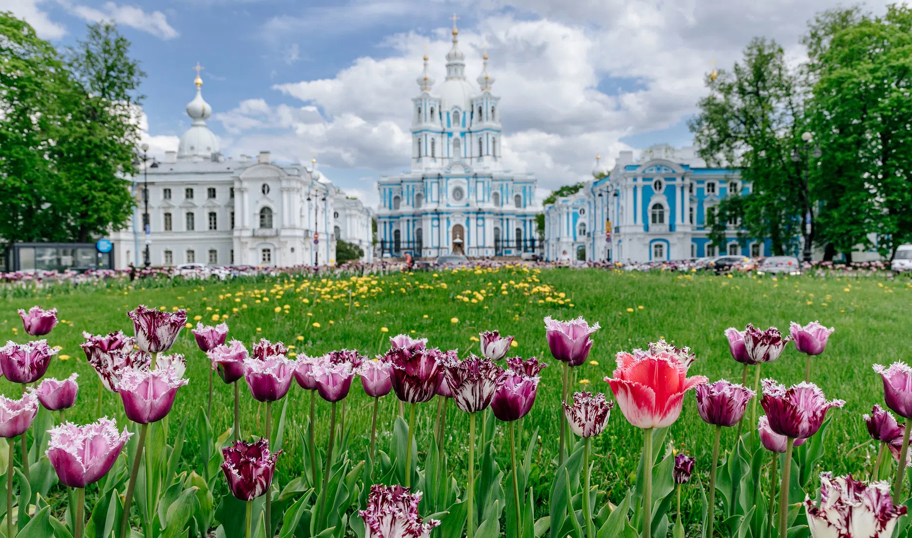 Смольный сад в санкт петербурге фото