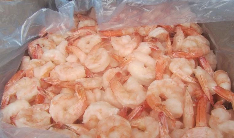 В Петербург не пустили 23 тонны зараженных аргентинских креветок - tvspb.ru
