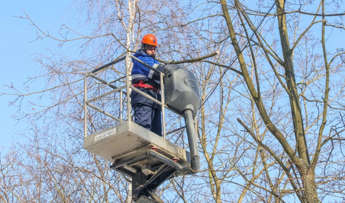 От ветвей деревьев в Петербурге освободят около 100 километров электросетей - tvspb.ru