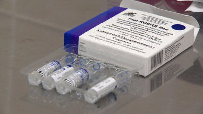 Дмитрий Лисовец рассказал об уровне коллективного иммунитета к COVID в Петербурге