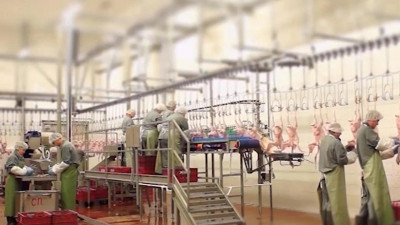 В Ленобласти появится завод крупнейшего российского производителя индейки