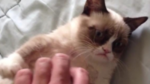 Хорошие новости сети от Анны Алексеевой: Как снять качественное видео на смартфон? «Сердитый котик» заработал для хозяйки 100 миллионов долларов. Приложение Carousel научилось решать проблему недостатка места на смартфоне